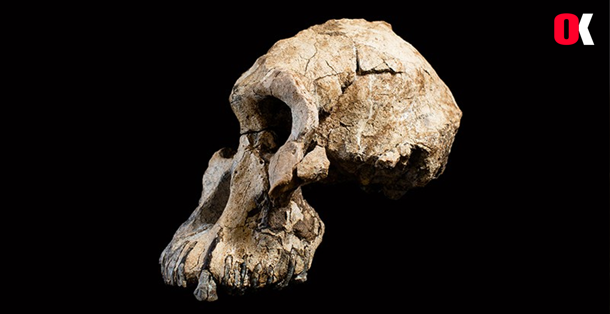 Pleistosen Döneminde (2,6  -11,700 milyon)  Yıl önce İnsan Beyinini Ne Tetikledi?